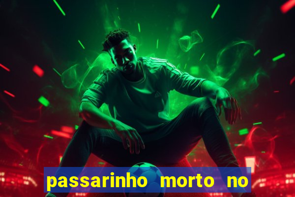 passarinho morto no quintal significado espiritual